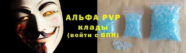 a pvp Тайга