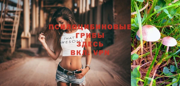 Альфа ПВП Балахна