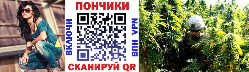 Канабис план Краснознаменск